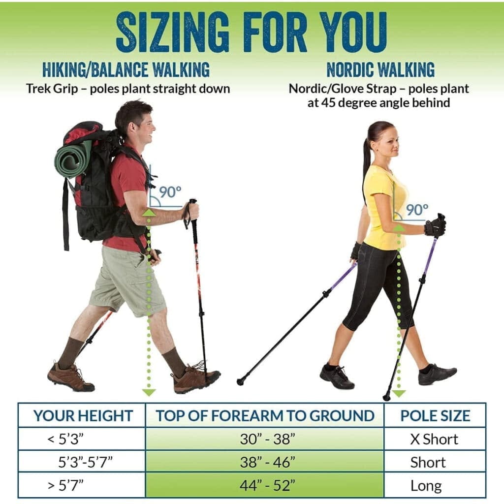 Travel Folding Hiking Poles with Rubber Feet Baskets Carry Bag